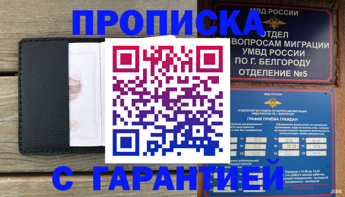 временная регистрация для всех в Клинцах